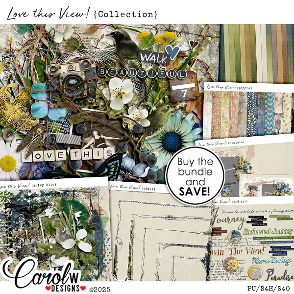 Love this View!-Collection
