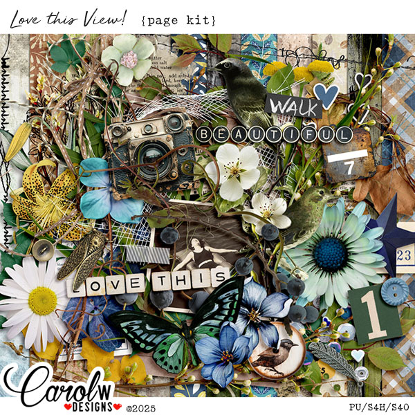 Love this View!-Page Kit