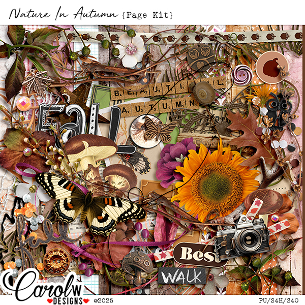 Nature In Autumn-Page Kit