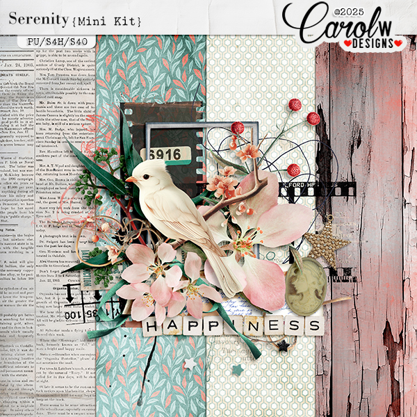 Serenity-Mini Kit