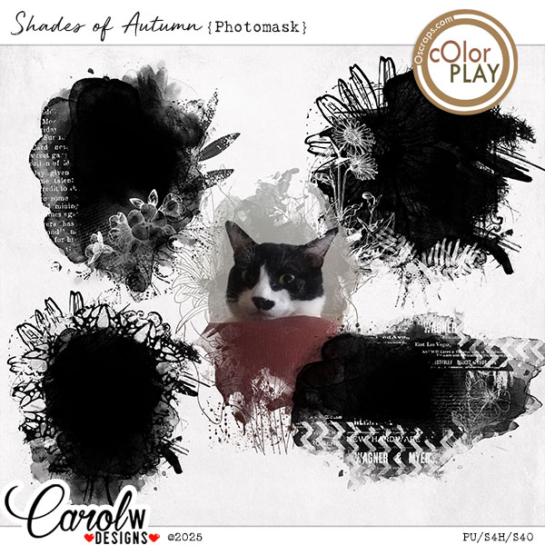 Shades of Autumn-Photomask