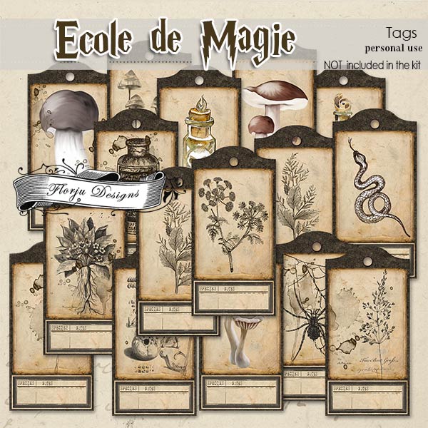 Ecole de magie Tags PU by Florju Designs Ecole de magie Tags PU by Florju Designs