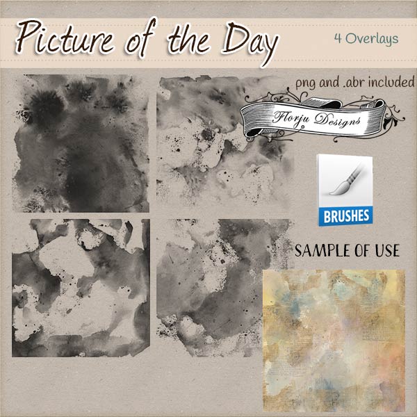 Picture of the day { Page Overlay PU } by Florju Designs Picture of the day { Page Overlay PU } by Florju Designs