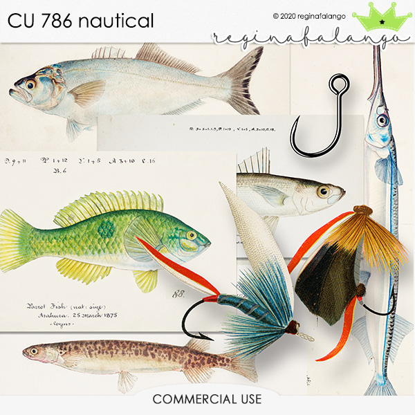 CU 786 NAUTICAL