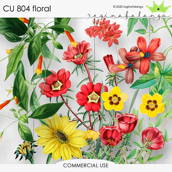 CU 804 FLORAL