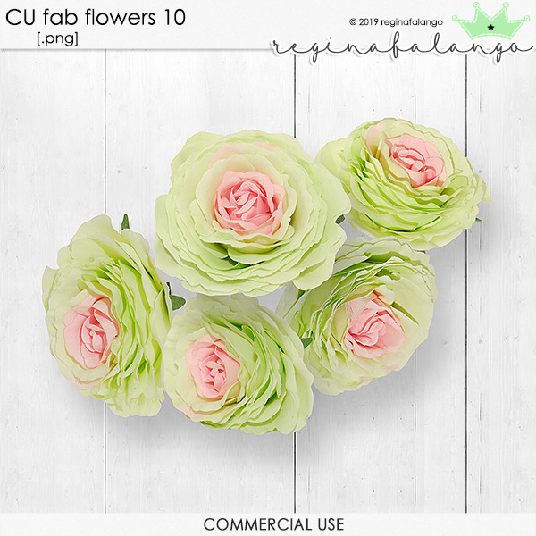 CU FAB FLOWERS 10