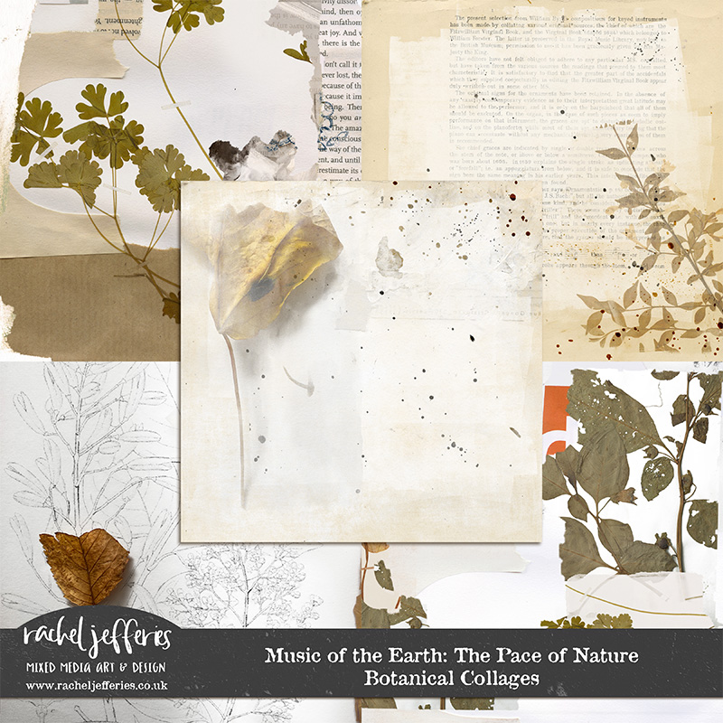 Music of the Earth: The Pace of Nature | Botanical Collages by Rachel Jefferies