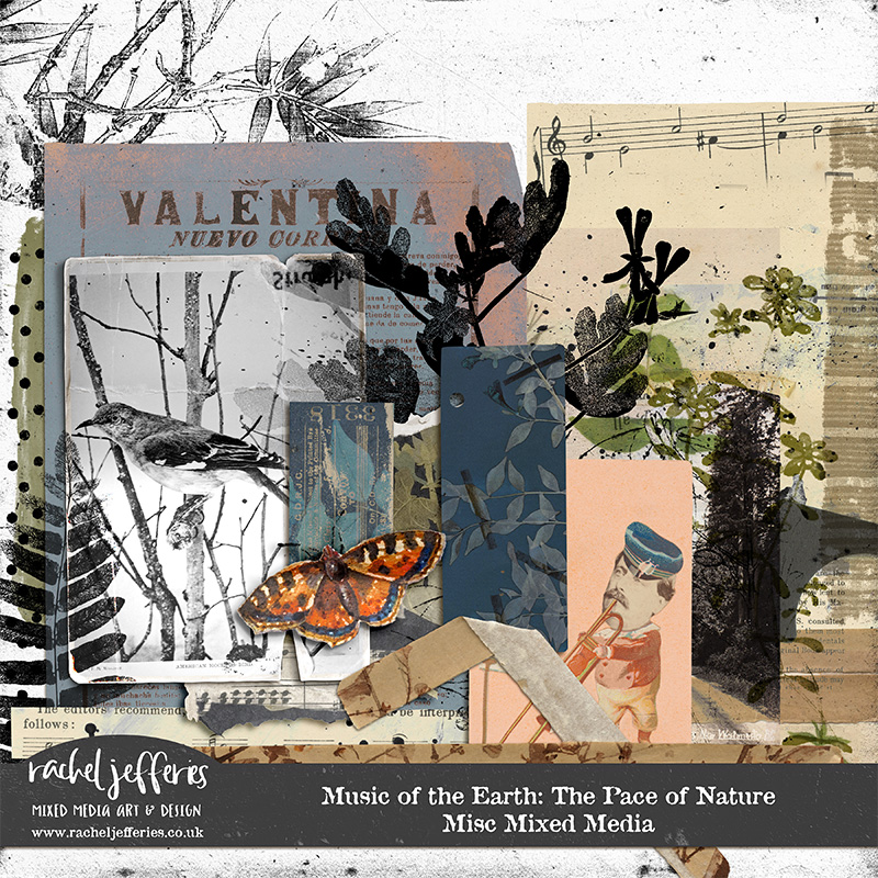 Music of the Earth: The Pace of Nature | Misc Mixed Media by Rachel Jefferies