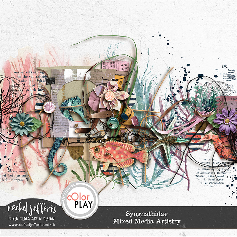 Syngnathidae | Mixed Media Artistry by Rachel Jefferies