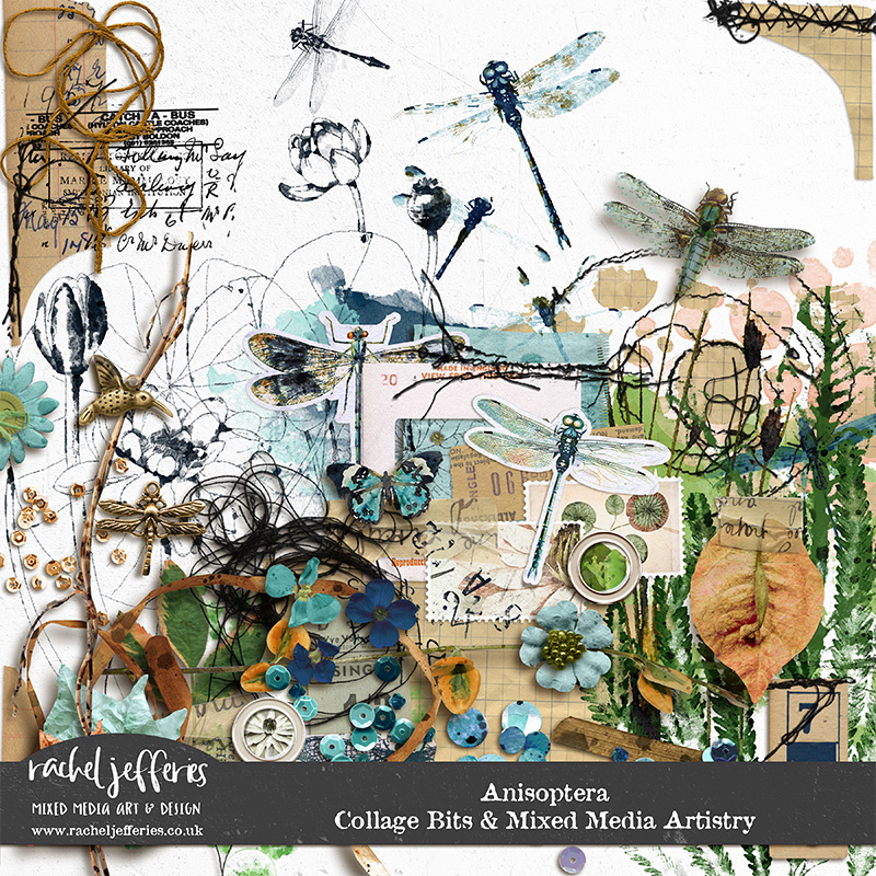 Anisoptera | Collage Bits and Mixed Media Artistry by Rachel Jefferies