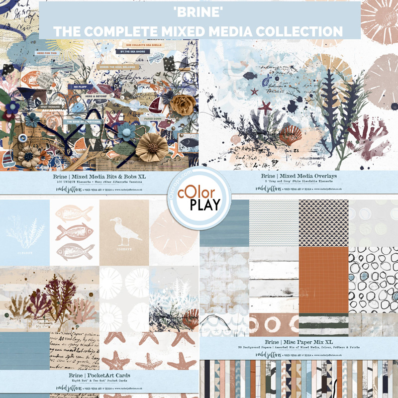 Brine | The Complete Mixed Media Collection by Rachel Jefferies