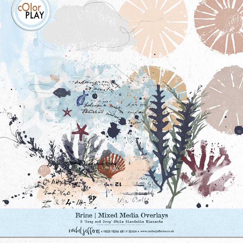 Brine | Mixed Media Overlays by Rachel Jefferies 