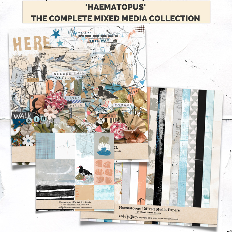Haematopus | The Complete Mixed Media Collection by Rachel Jefferies