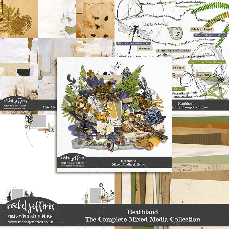 Heathland | The Complete Mixed Media Collection by Rachel Jefferies