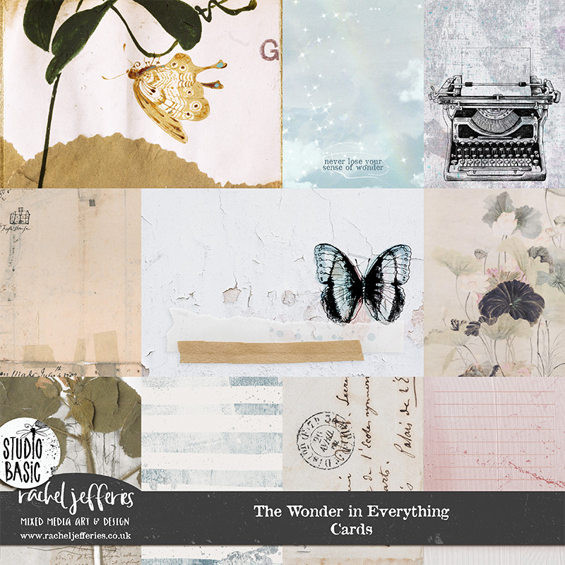 The Wonder in Everything | Cards by Rachel Jefferies and Studio Basic Designs