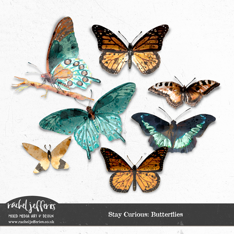 Stay Curious: Butterflies by Rachel Jefferies