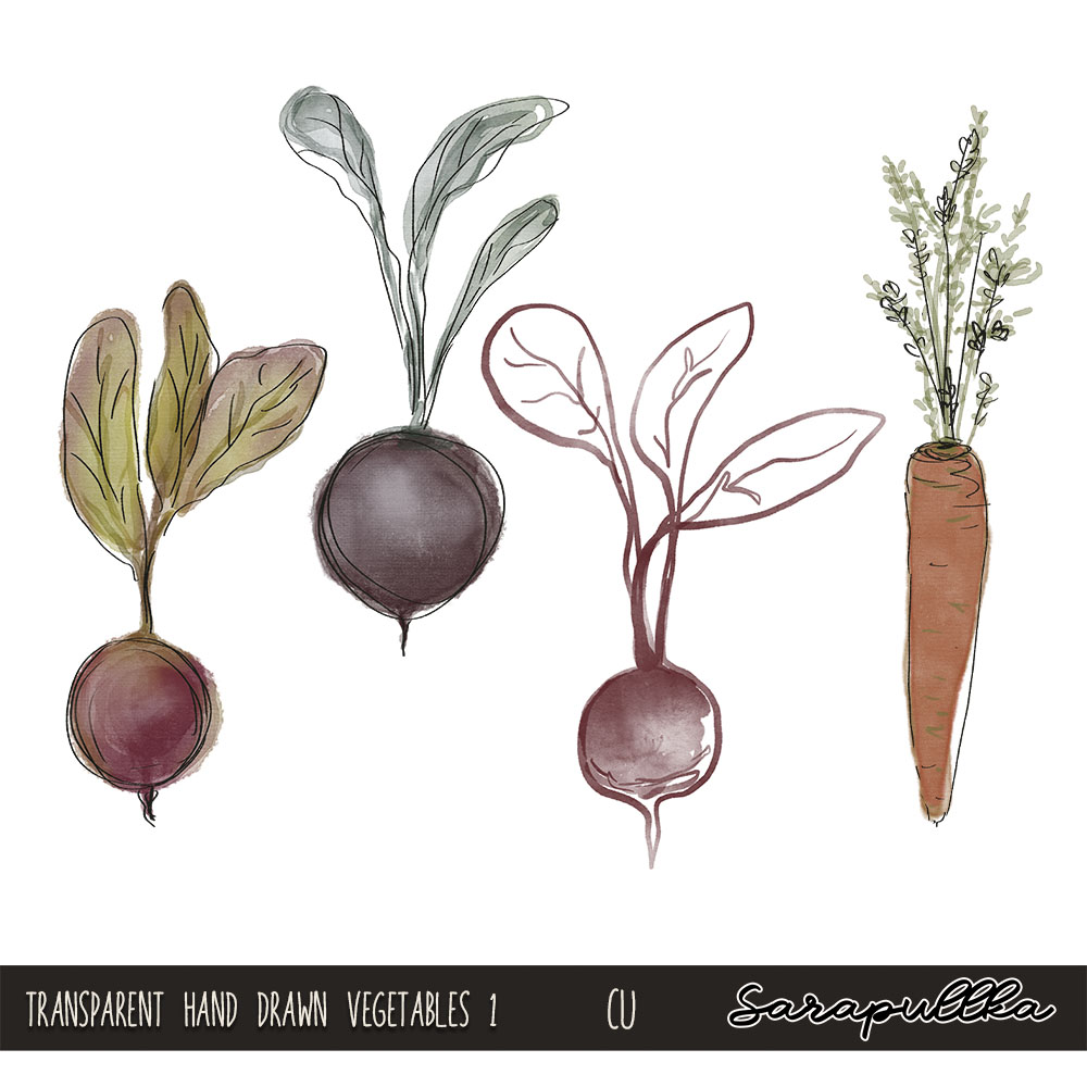 CU Transparent Hand Drawn Vegetables 1