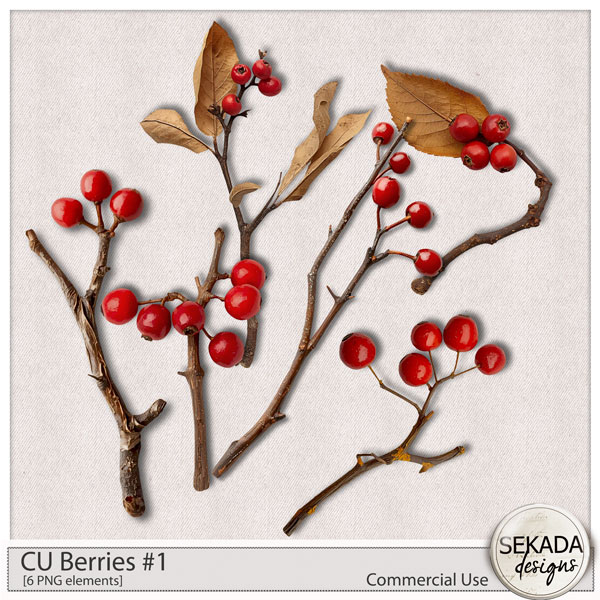CU Berries #1 by Sekada Designs