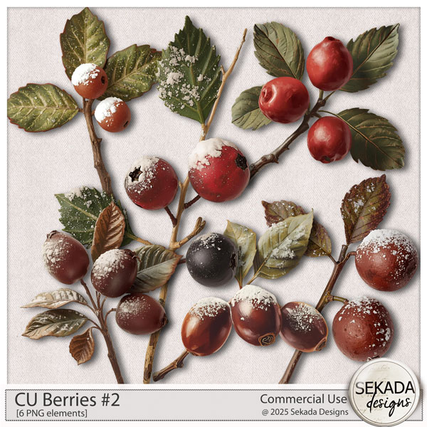 CU Berries #2 by Sekada Designs