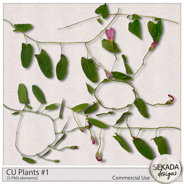 CU Plants #1 by Sekada Designs 