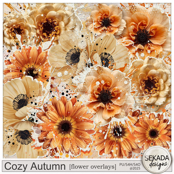 Cozy Autumn Flower Overlays by Sekada Designs 