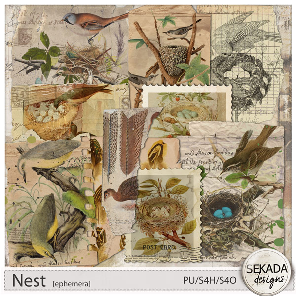 Nest Ephemera by Sekada Designs