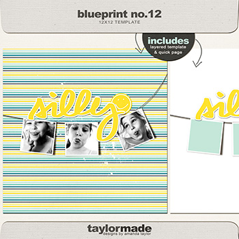 taylored blueprint NO 12