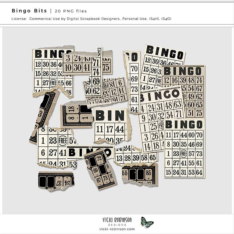 Bingo Bits