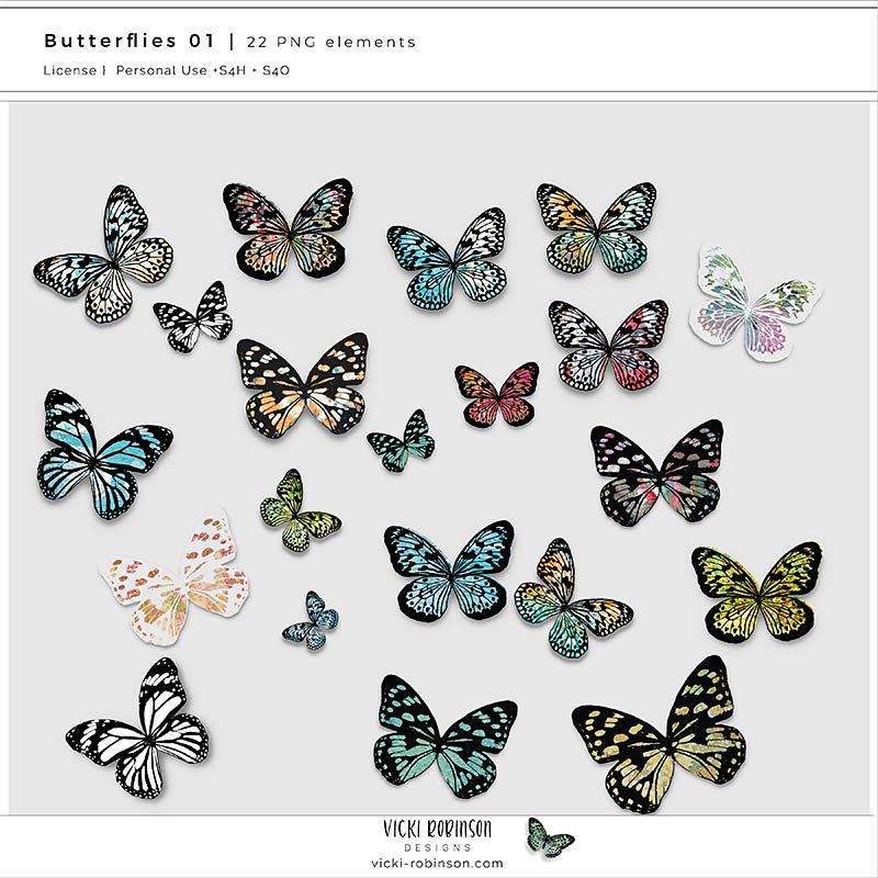 Butterflies 01