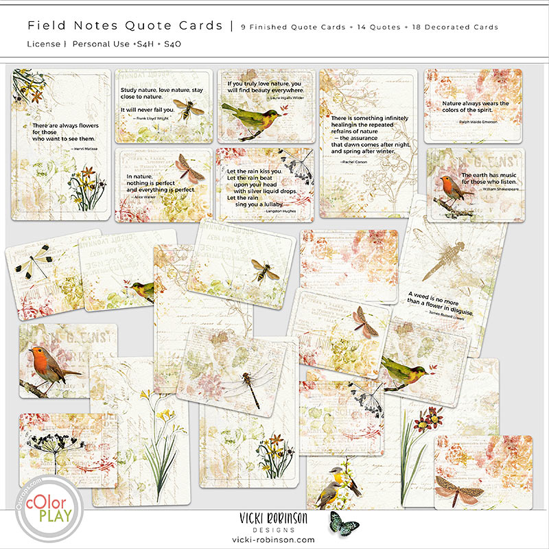 Field Notes Quote Cards and Quotes