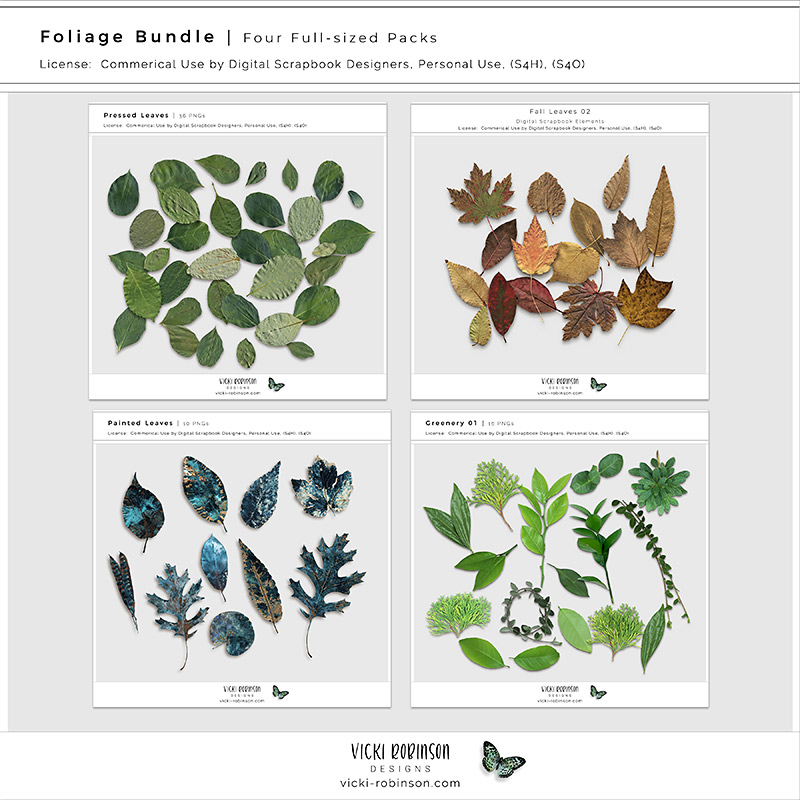 Black Friday 2019 Foliage Grab Bag