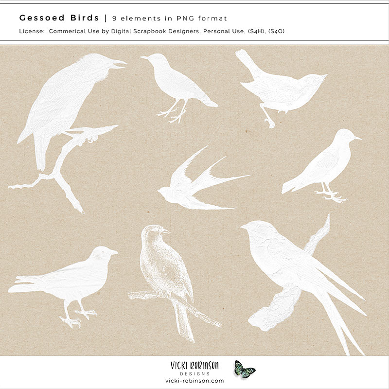 Gessoed Birds