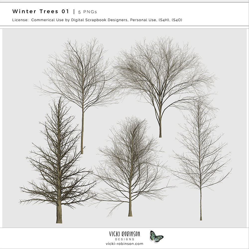 Winter Trees 01