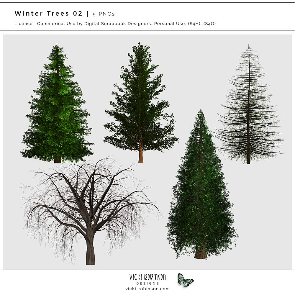 Winter Trees 02