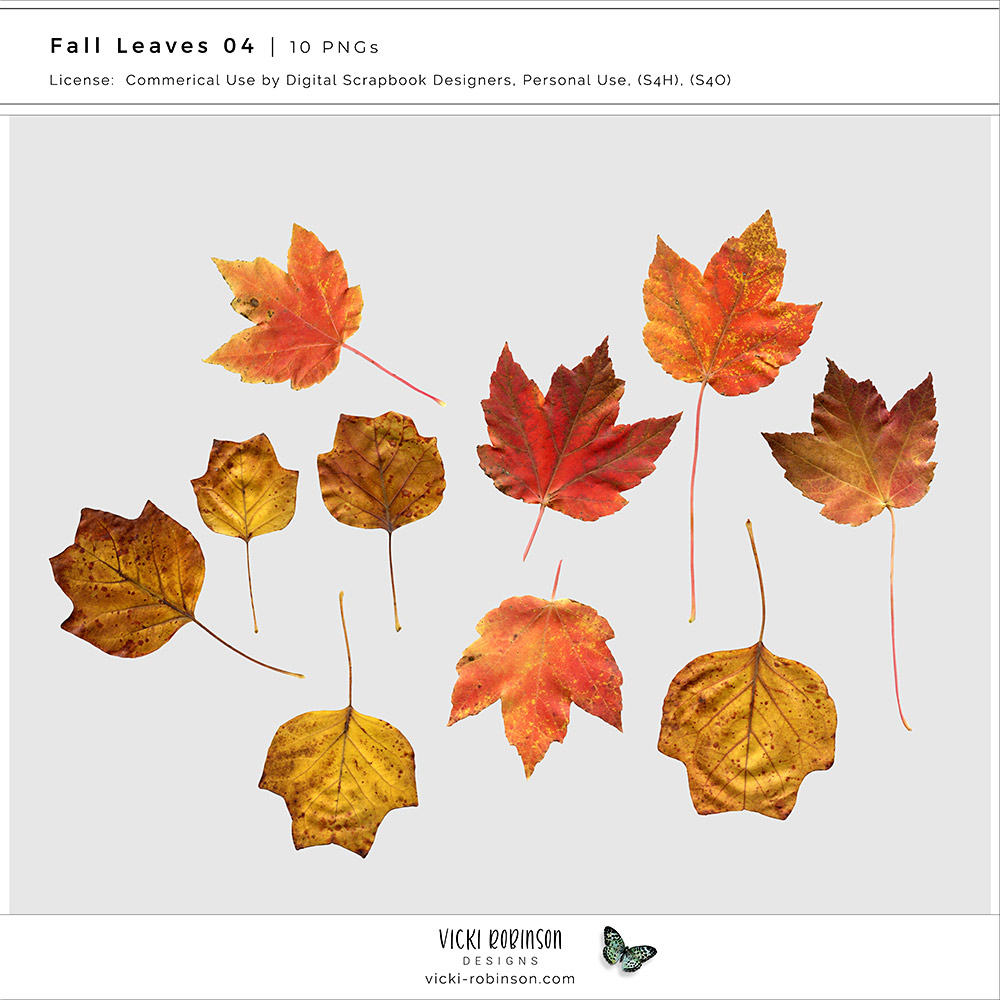 Fall Leaves 04