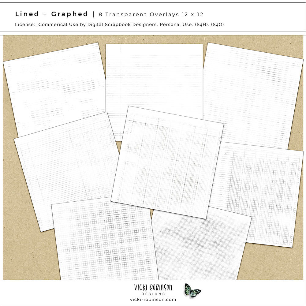 Lined and Graphed Transparent Page Overlays