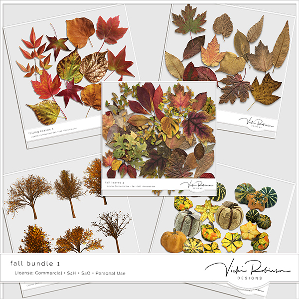 Designers Toolbox Grab Bag Fall Bundle 01