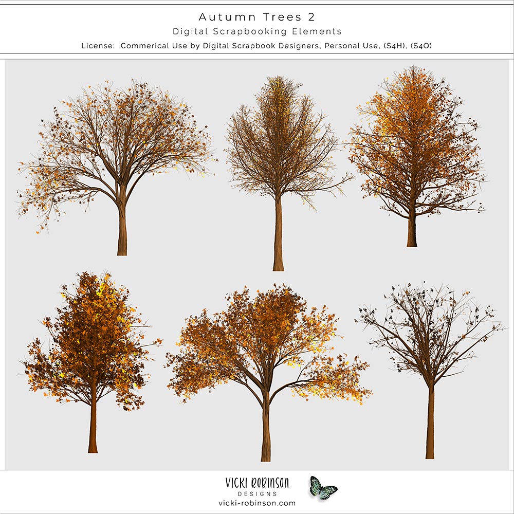 Autumn Fall Trees 02