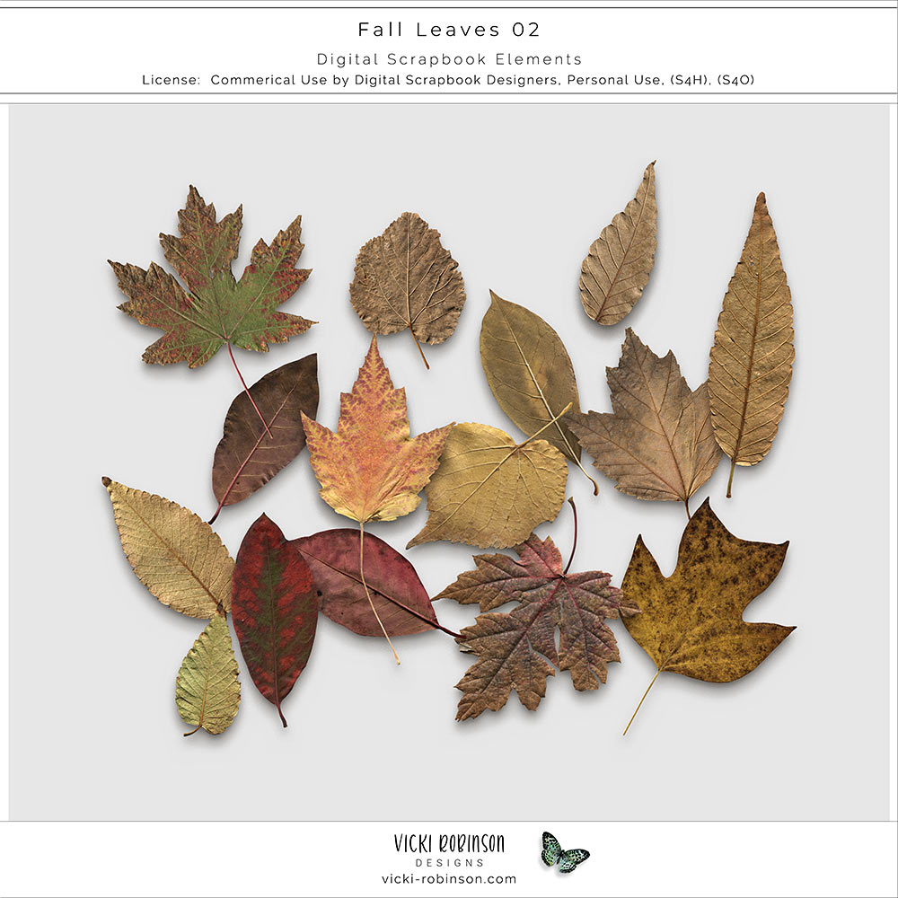 Fall Leaves 02