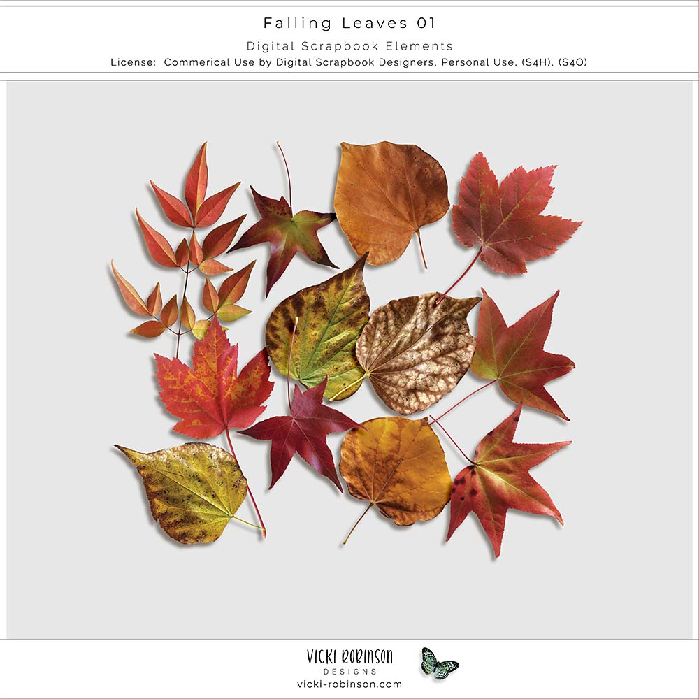 Fall Leaves 01