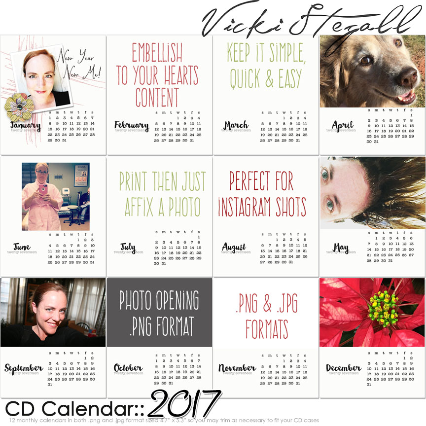 2017 CD Calendar