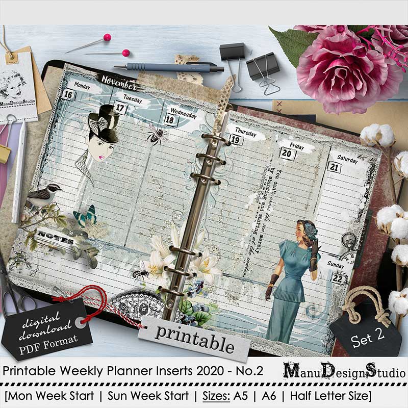 Set 2 - 2020 Weekly Printable Planner Inserts