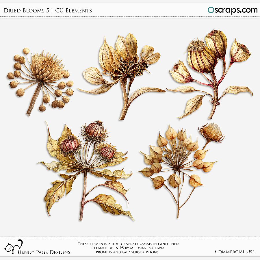 AI-Dried Blooms5 (CU) by Wendy Page Designs  