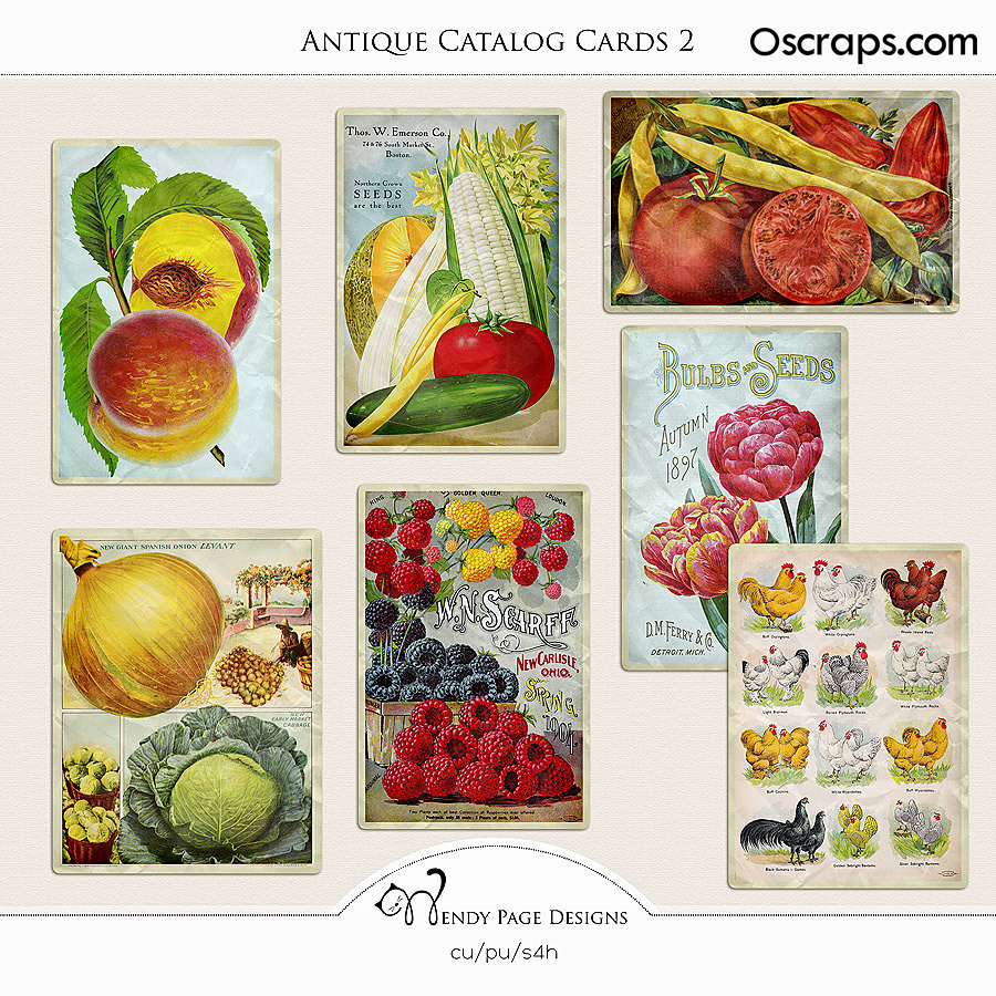 Antique Catalog Cards 2 (CU) by Wendy Page Designs