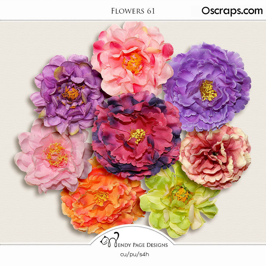 Flowers 61 (CU) by Wendy Page Designs