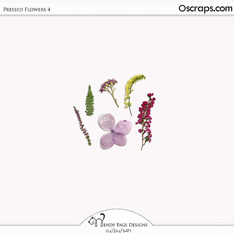 Pressed Flowers 4 (CU) by Wendy Page Designs