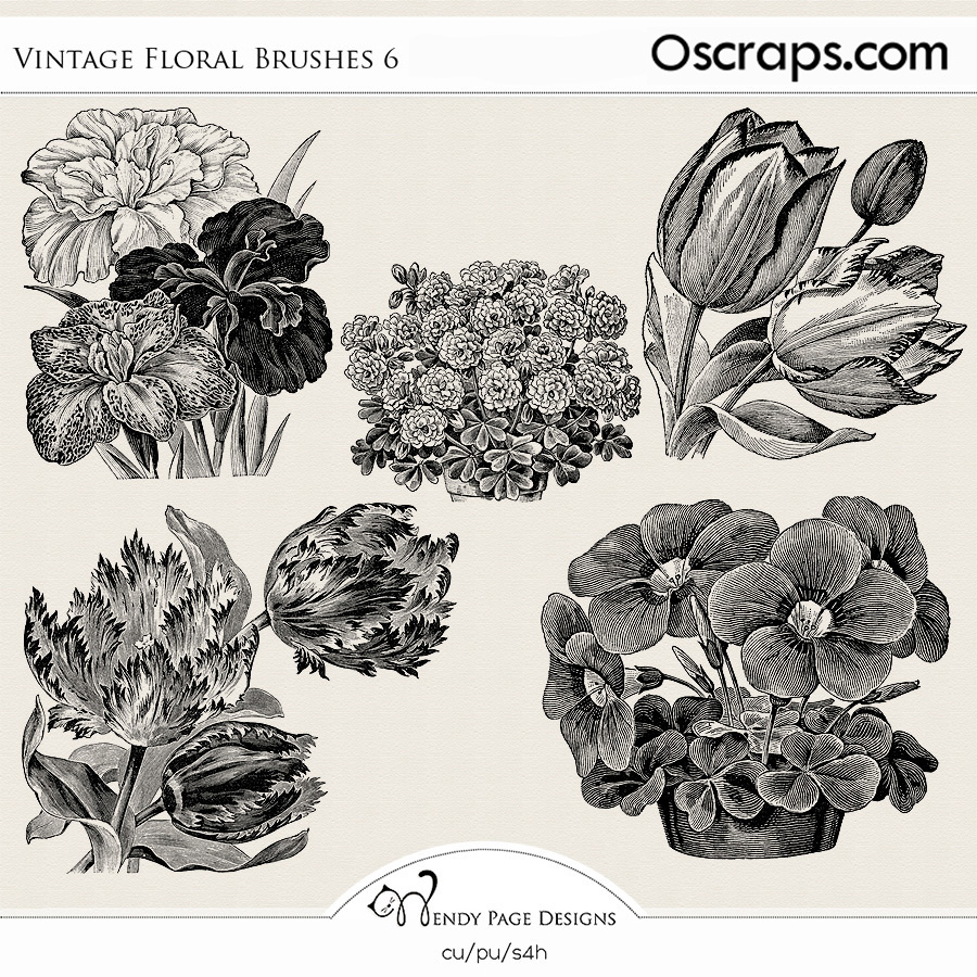 Vintage Floral Brushes 6 (CU) by Wendy Page Designs