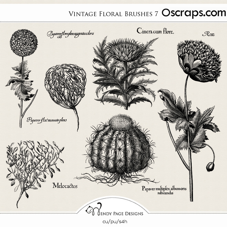 Vintage Floral Brushes 7 (CU) by Wendy Page Designs