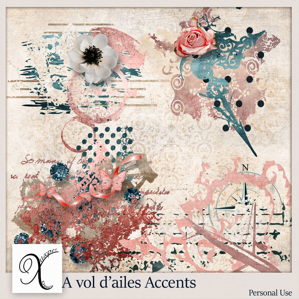 A Vol d'Ailes Accents