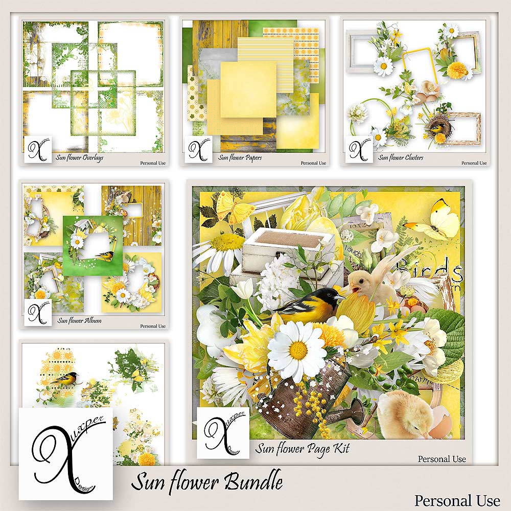 Sun Flower Bundle